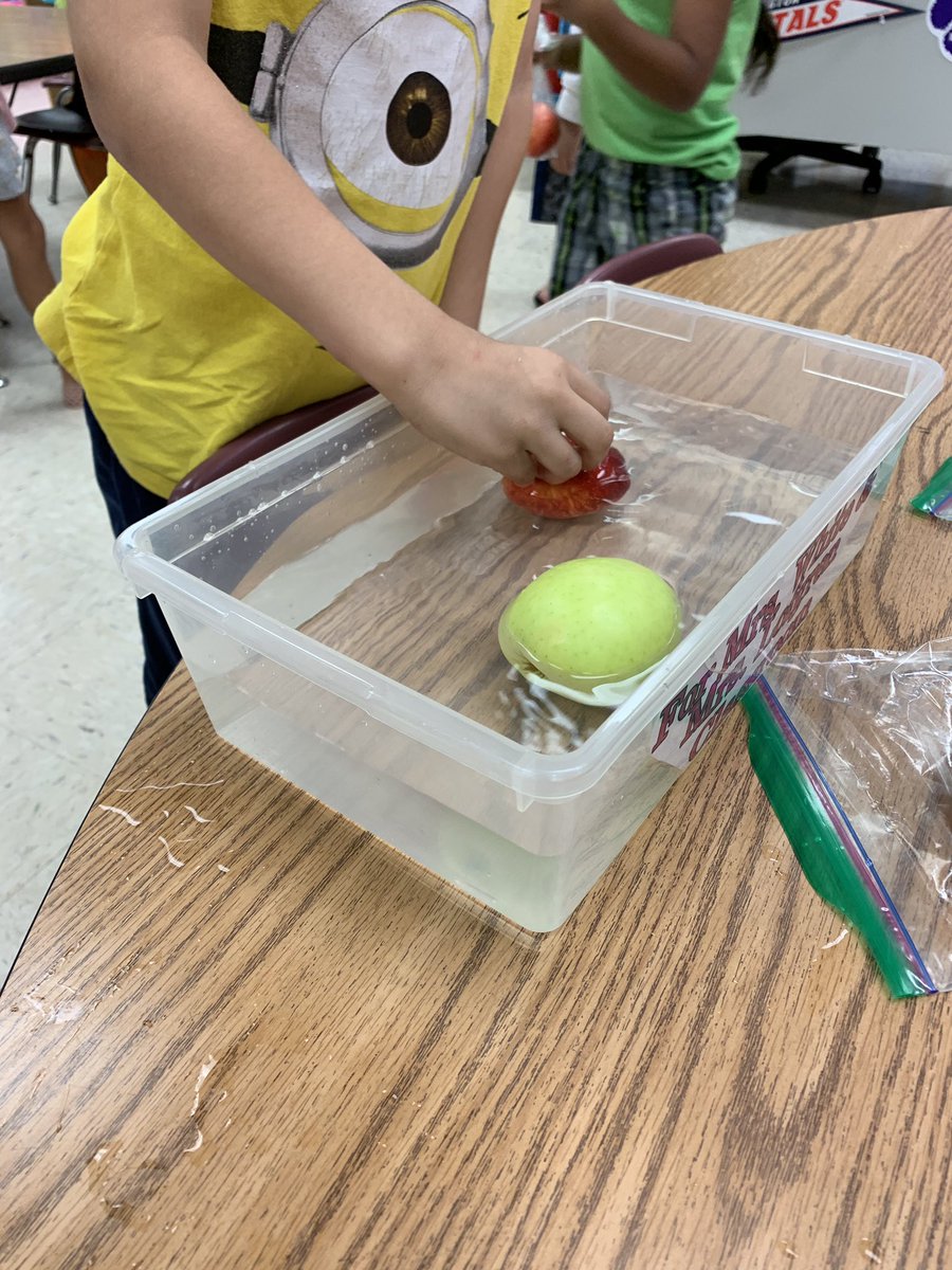 Shannon White tweet media