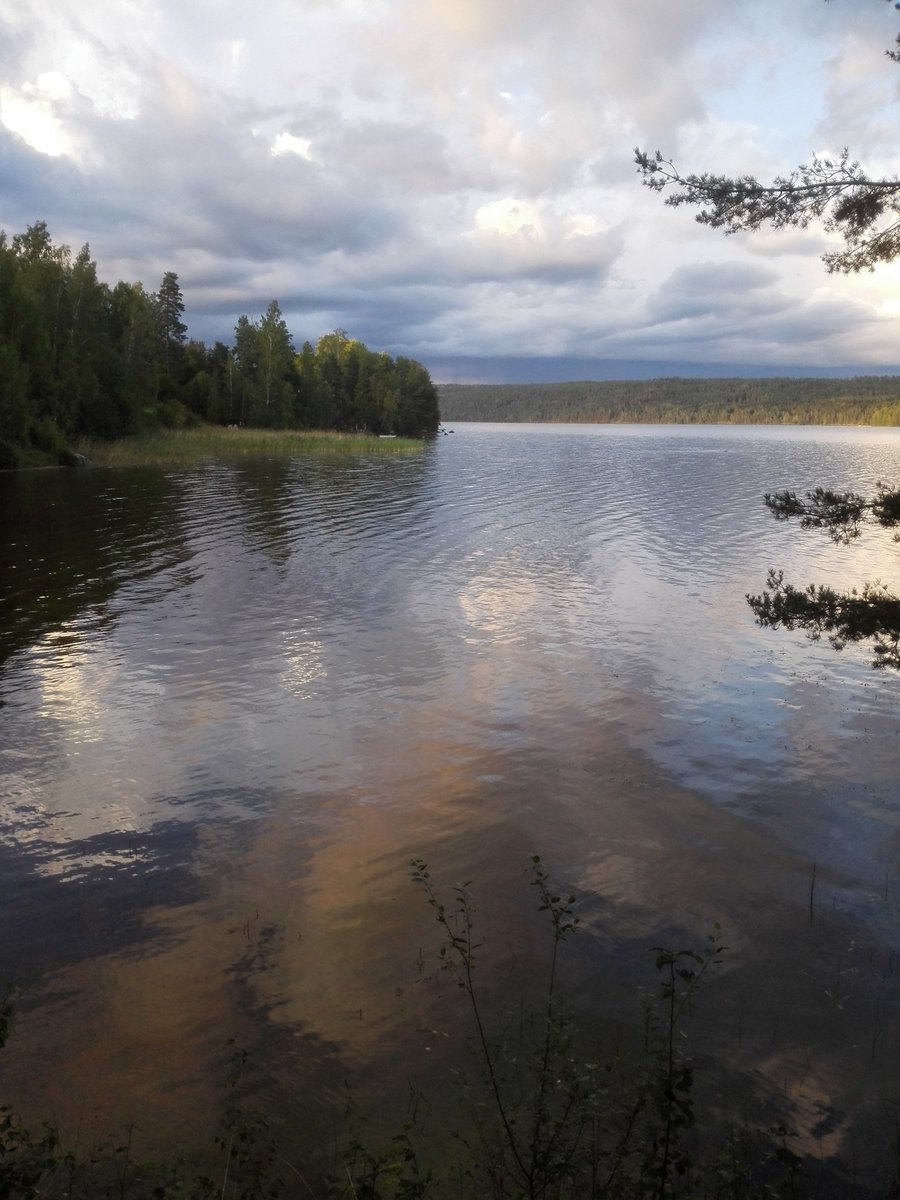 kristallnaach's tweet photo. Nein!..ich träume (noch) nicht vom nächsten #Urlaub..hab' nur #Sehnsucht nach dem letzten😍 

#Sweden 🦌 #Elchenländle
#Schweden 🇸🇪 #Sverige 

#Fryken-See zw. #Kil &amp; #Sunne

#Elchenländle19 #Schweden19 #Alleinlage? 😀 🇸🇪 #Värmland https://t.co/yeQOuHIX3y