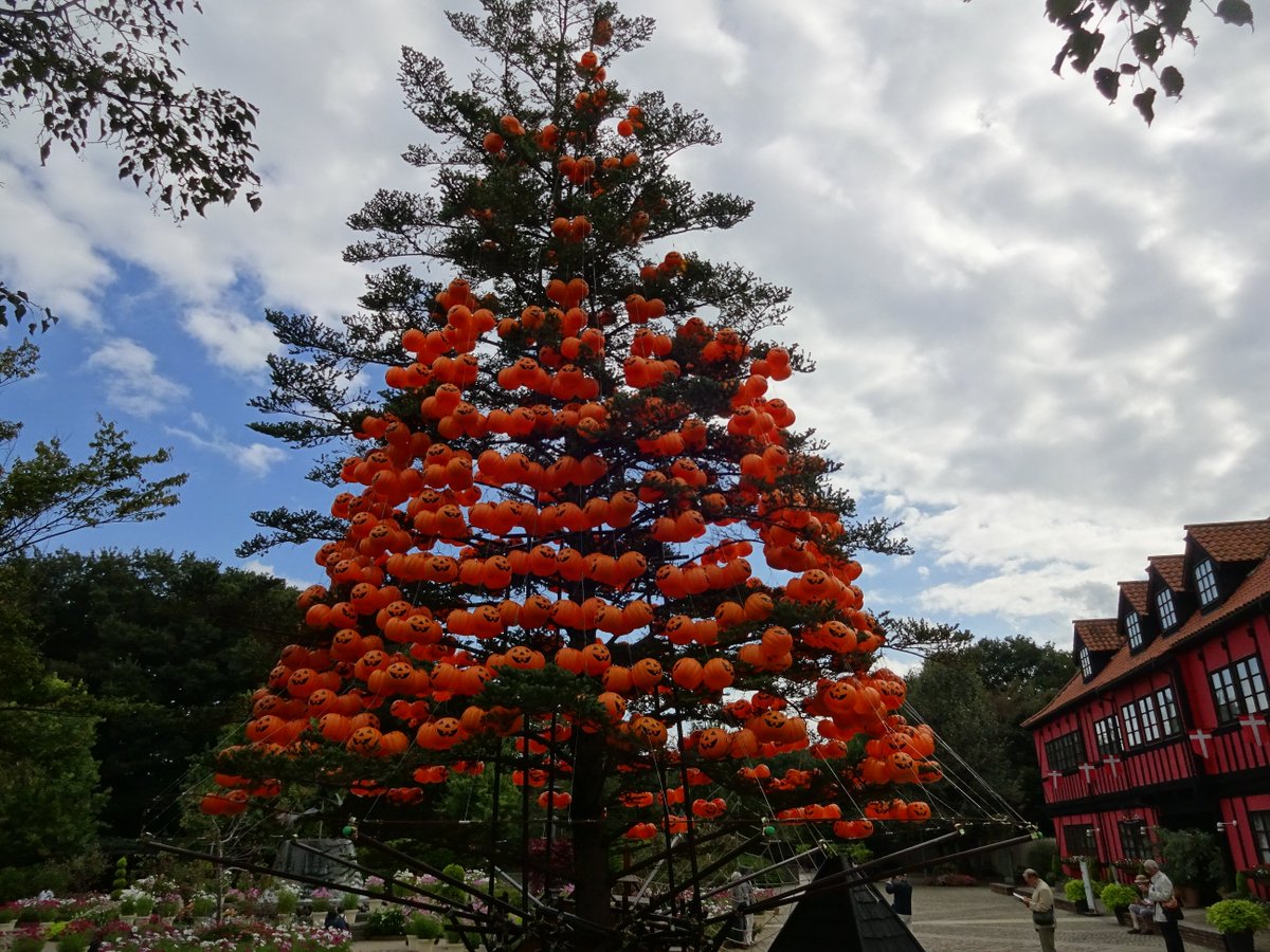 今日も素敵な一日になりますように～💕💋