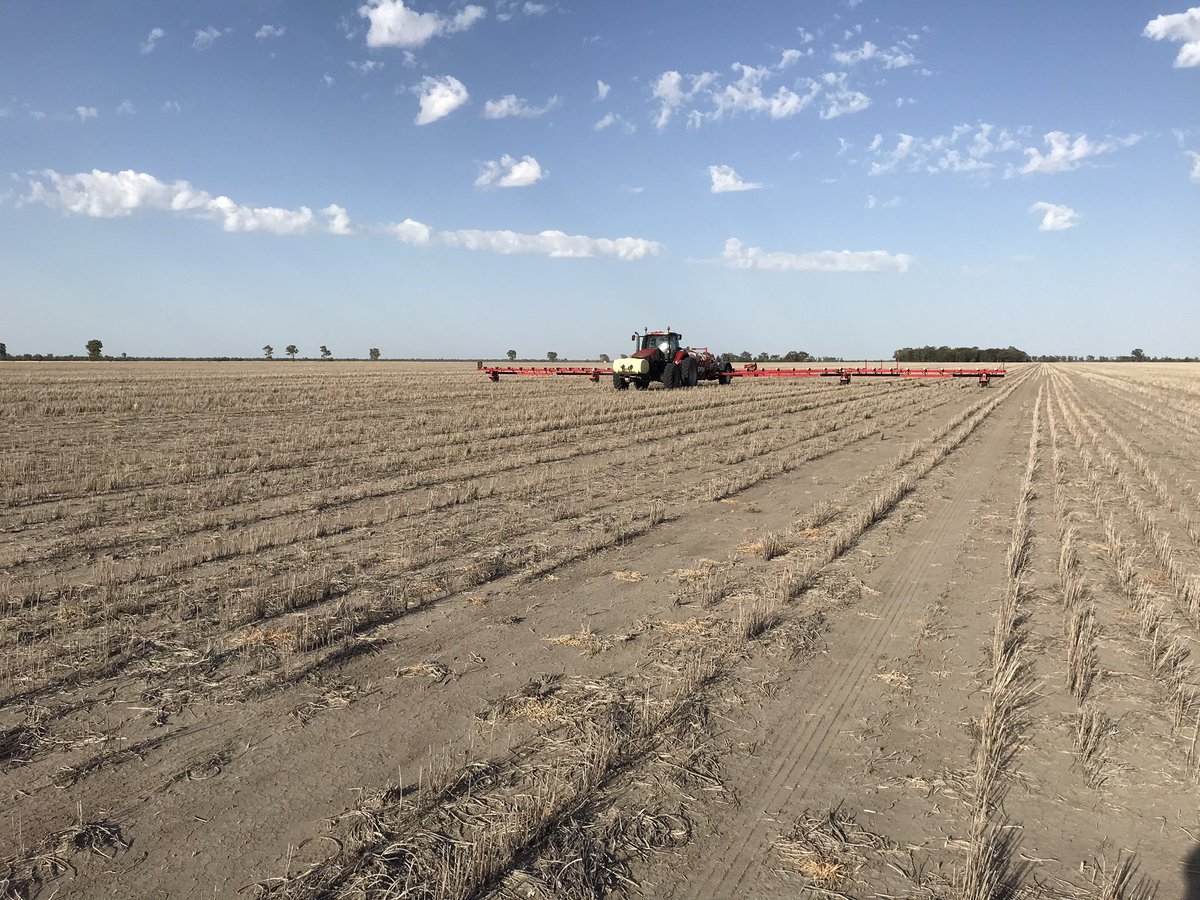 Tom Ferguson tweet media