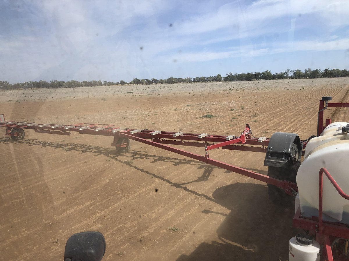 Tom Ferguson tweet media