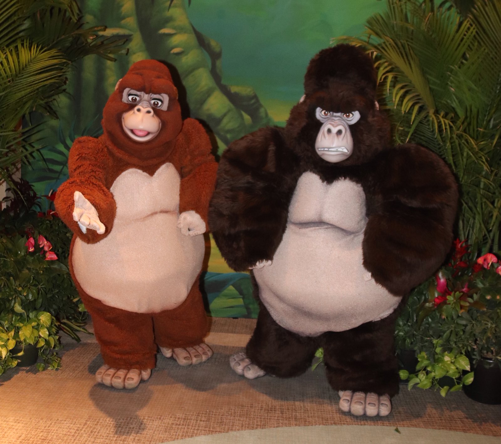 360 Of Disney Worldgorilladay We Know Just The Apes To Call Kerchak Kala Kerchakandkala Tarzan Wdw Waltdisneyworld Disneyjungle カーチャック カーラ ターザン T Co Ulfnn8d3po Twitter