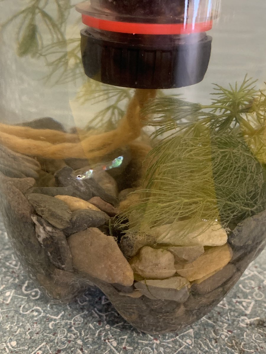 Marybeth Orlowski tweet media