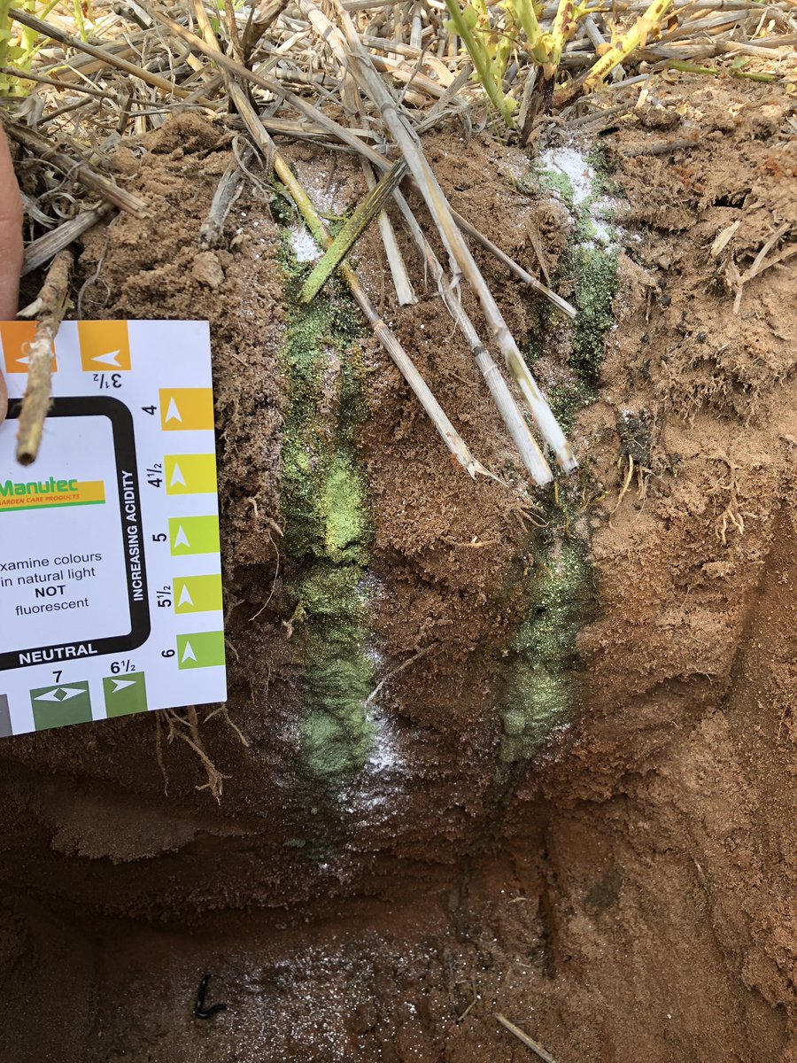 Chris Davey tweet media