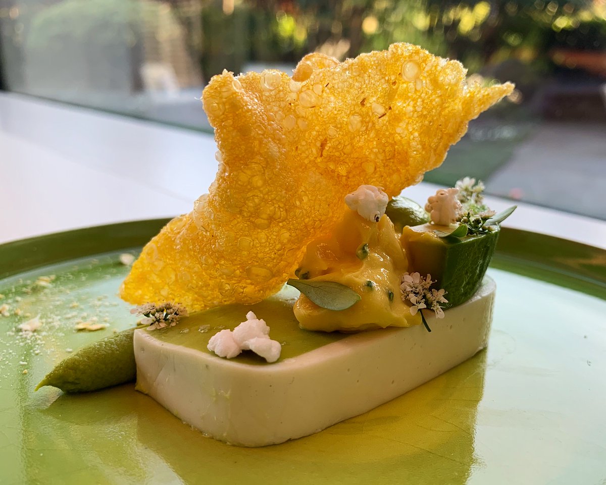 Brokaw Avocado 'Terrine' | Puffed Sorghum, Sweet Corn 'Chicharrones' and Cilantro Shoots