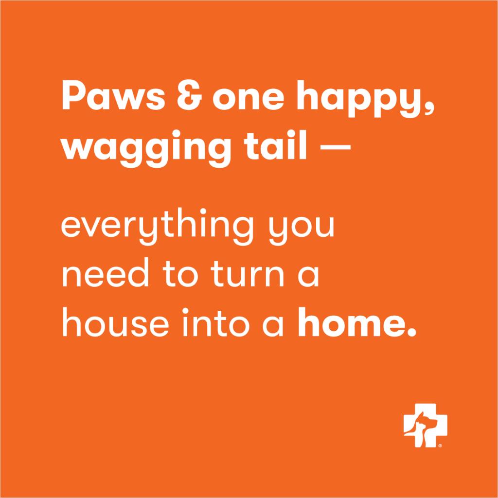 Quite a simple formula, actually 🐱 🐶 🧡