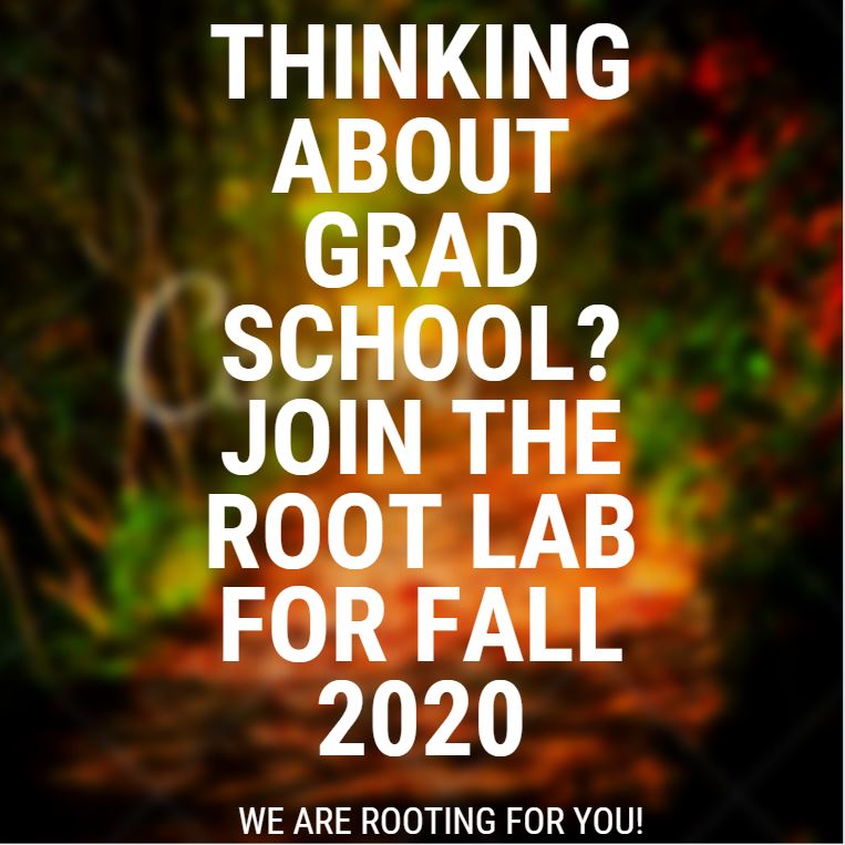 RootBGSUEcology's tweet photo. Are you interested in pursuing graduate research? We will have a few openings in the lab for Fall 2020 and are looking for highly motivated, collaborative students.

For more information, please check out our website: https://t.co/godzvoDzHd

#gradschool #ecology #bgsu #fall2020 https://t.co/LATzBIb1tx