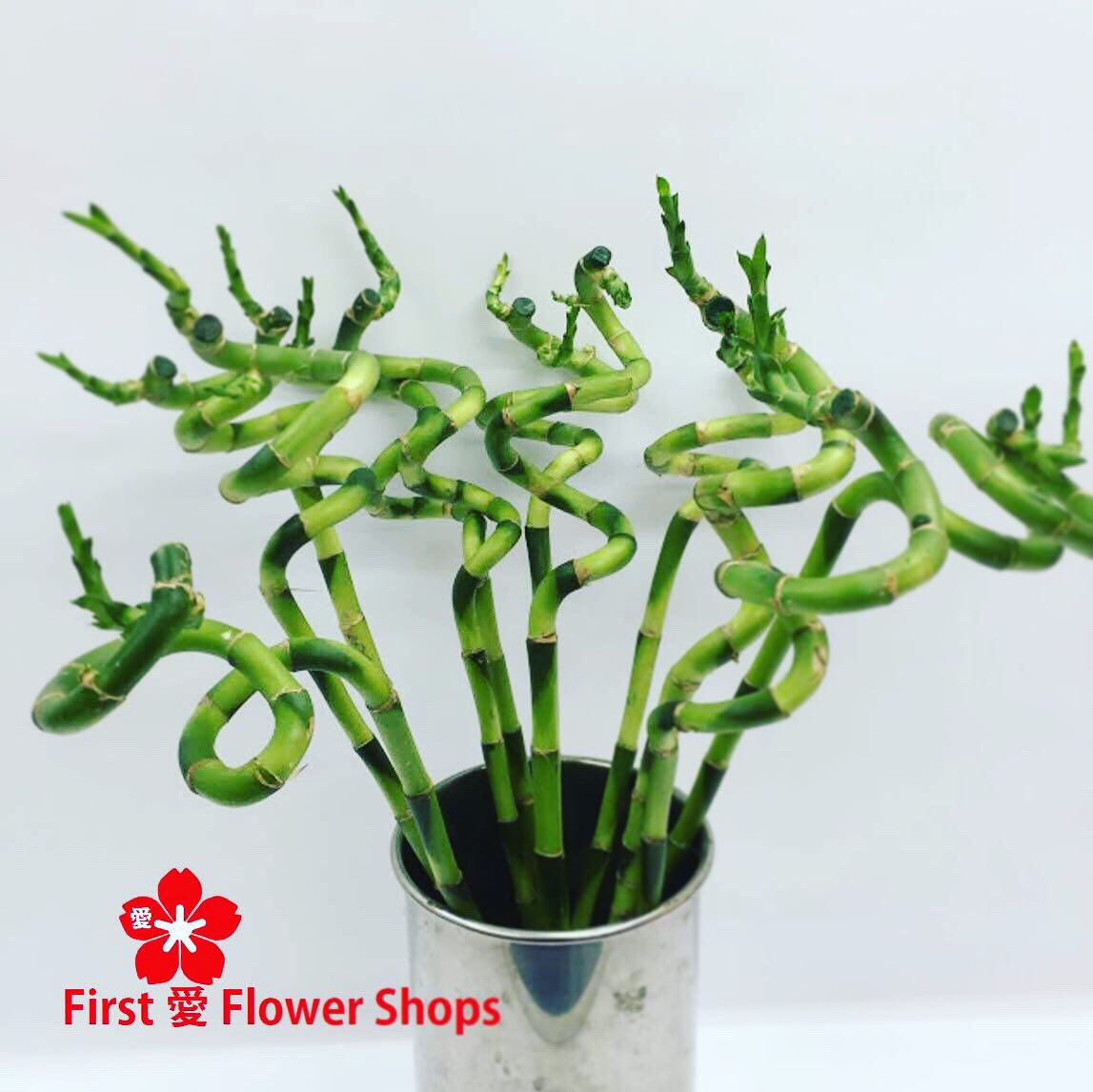 First 愛 Flower Shops 幸福を呼ぶミリオンバンブー 他にもラッキーバンブーや富貴竹と呼ばれてます 見た目も竹に似てますが 竹 の一種ではなくドラセナの一種です 竹と同じで 開運 や 金運 を呼ぶ縁起物として海外でも 人気者 1日に1m伸びる竹