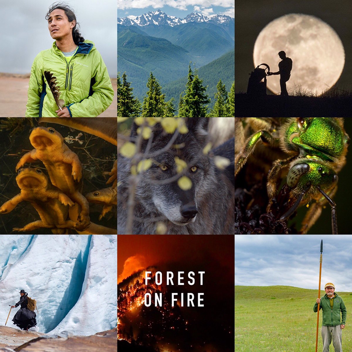 The #wildandscenicfilmfestival world tour hits the #montereybay October 17 &amp; 19! Get your tickets at ventanawild.org.