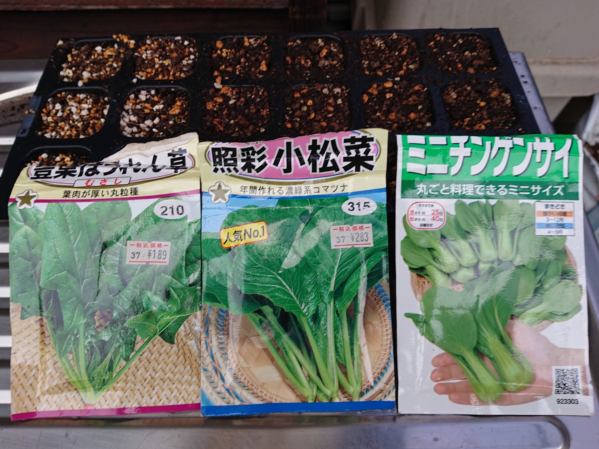 かわねこ 9月25日 水 ほうれん草 小松菜 チンゲン菜をセルトレイで種まき ほうれん草の種の使用期限が14年で小松菜はもっと古く表示が消えている 去年は発芽したしなんとかなるっしょ T Co Sxnr2ioaim Twitter