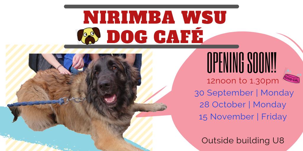A Good Name For A Dog Cafe