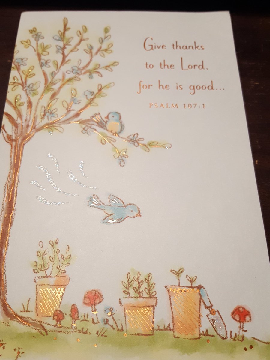 MrsSimon3rd's tweet image. 👀Suprise snail mail today!! So blessed to have some amazing friends who care about the future of our world🌎 and value the importance of an education!!👩‍🏫🍎
THANK YOU!!
#forthekids
#lovekids 
#KindnessMatters