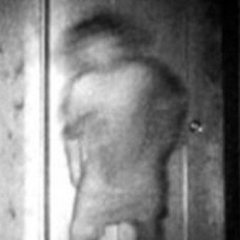 basically_not's tweet image. #NewProfilePic