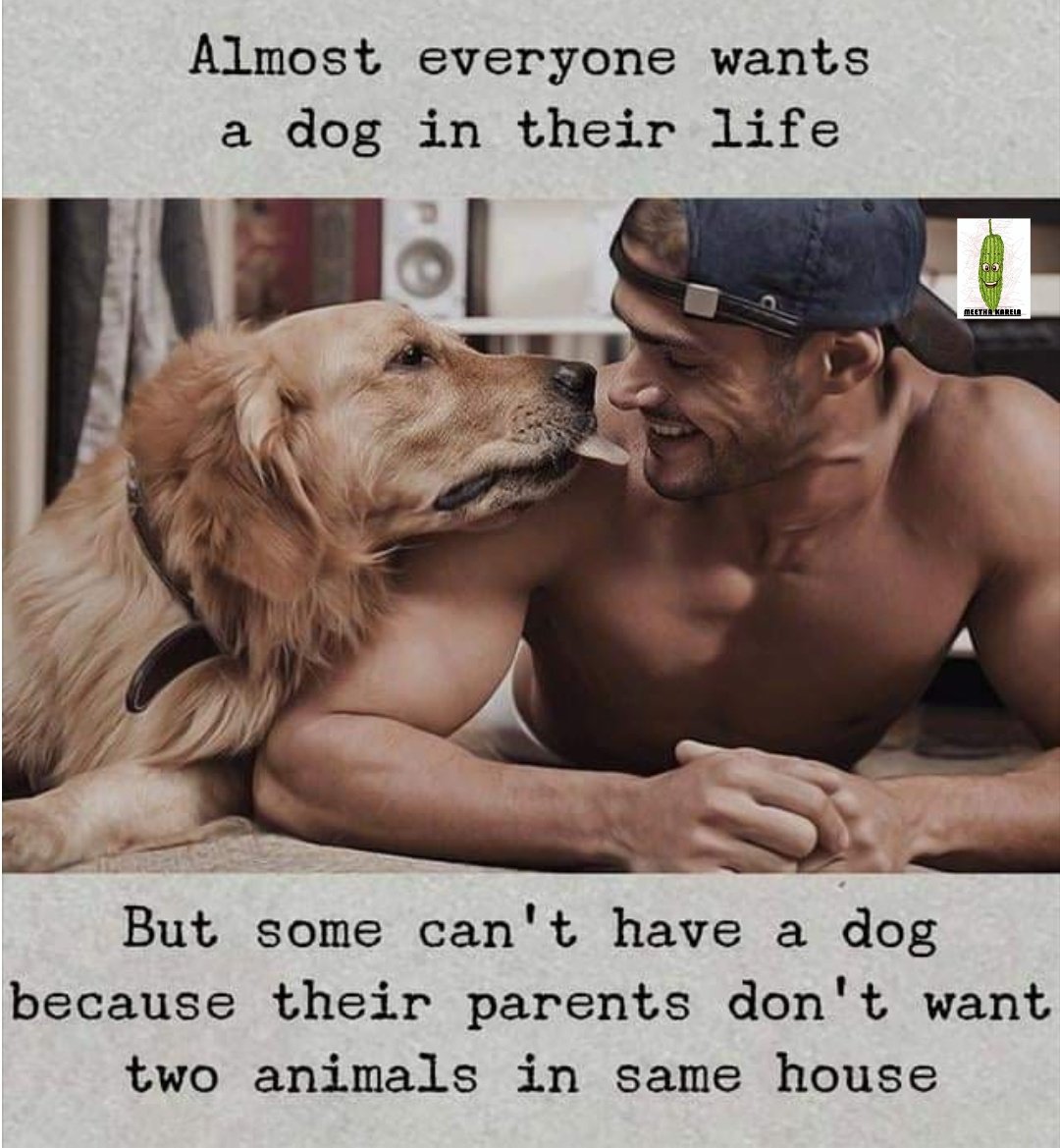 😂🤣🤣🤣😂😂😂