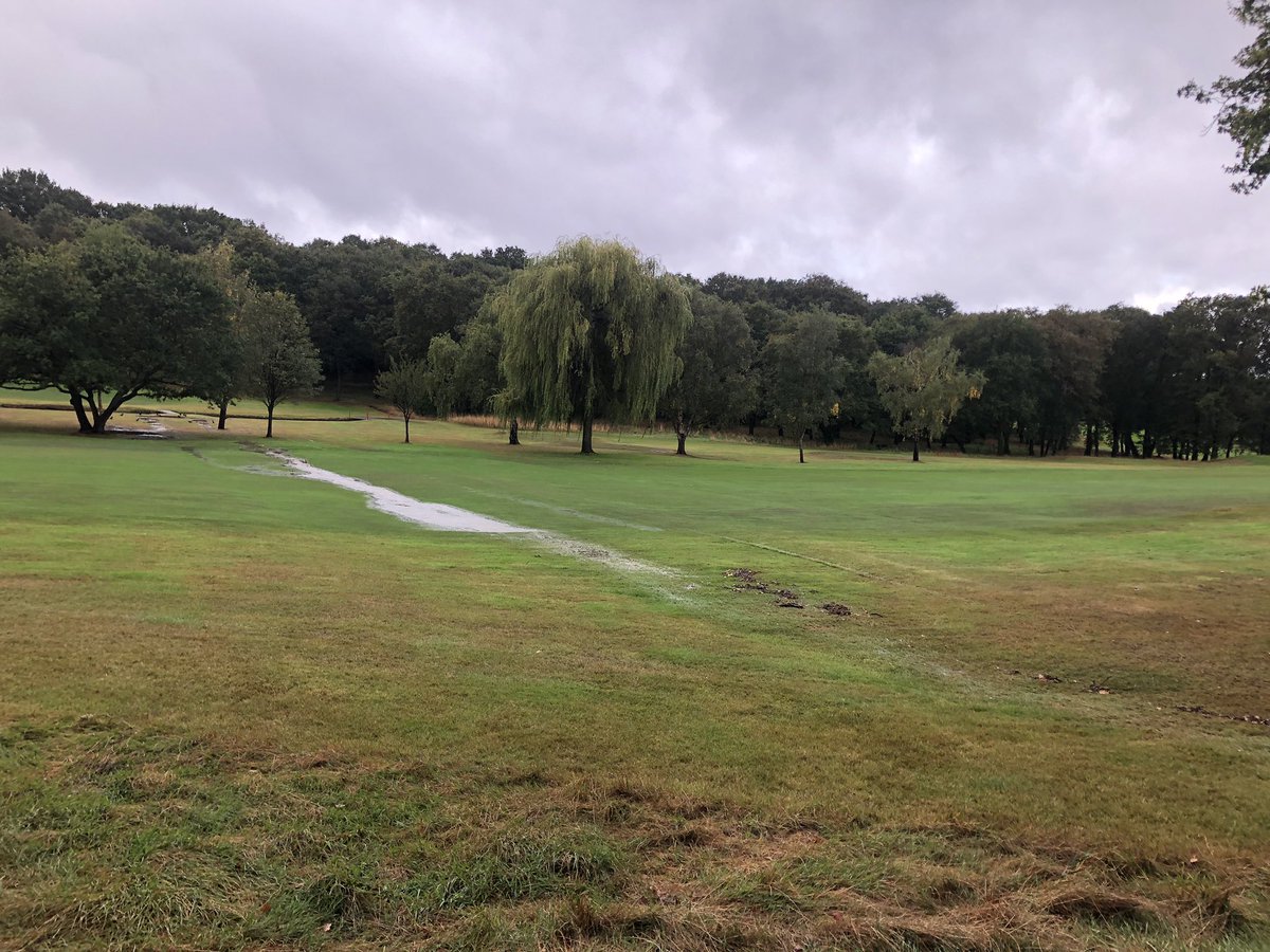 Nick Paris tweet media