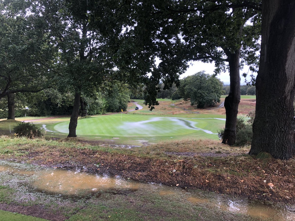 Nick Paris tweet media