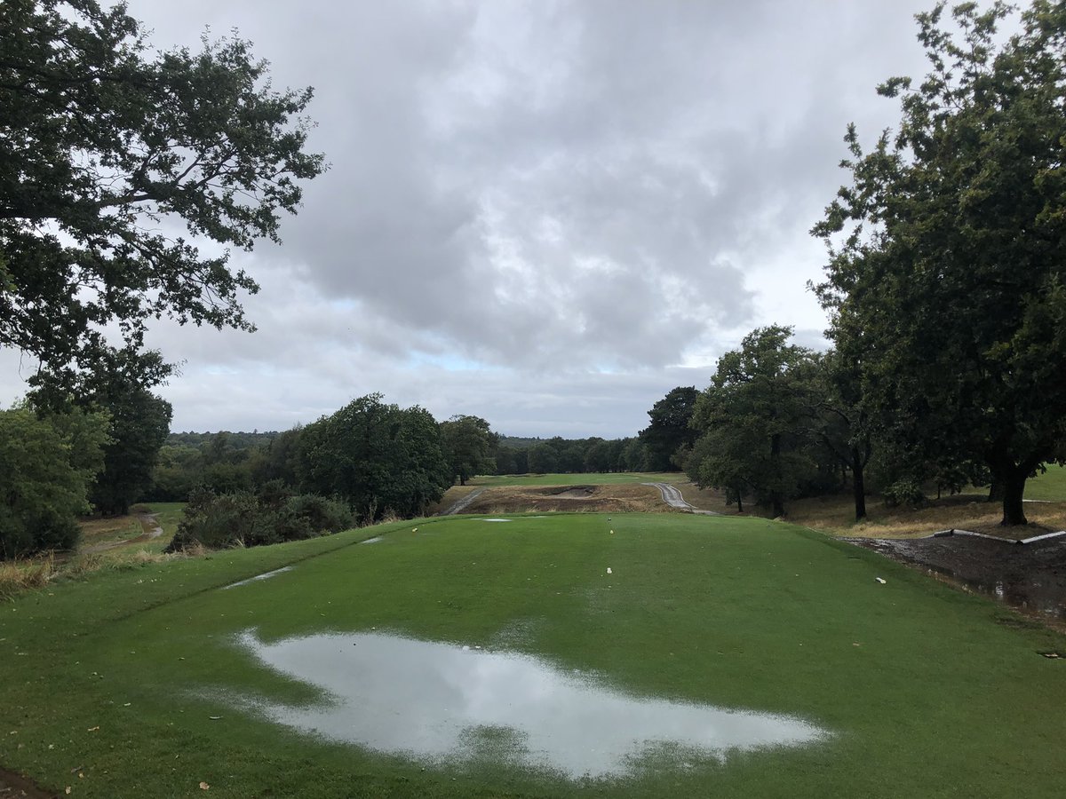 Nick Paris tweet media