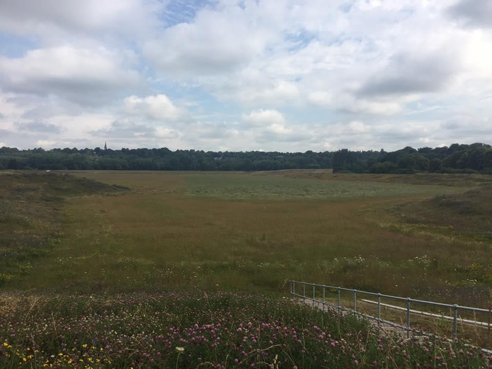 DogsinSalford's tweet photo. This mornings walk is at the very lovely #Kersal Wetlands, #Salford.  meeting at the silver gates on #Littleton Road at 10:30am
Weather is looking ok too!
#healthwalks #dogs https://t.co/5kv23tjNQv