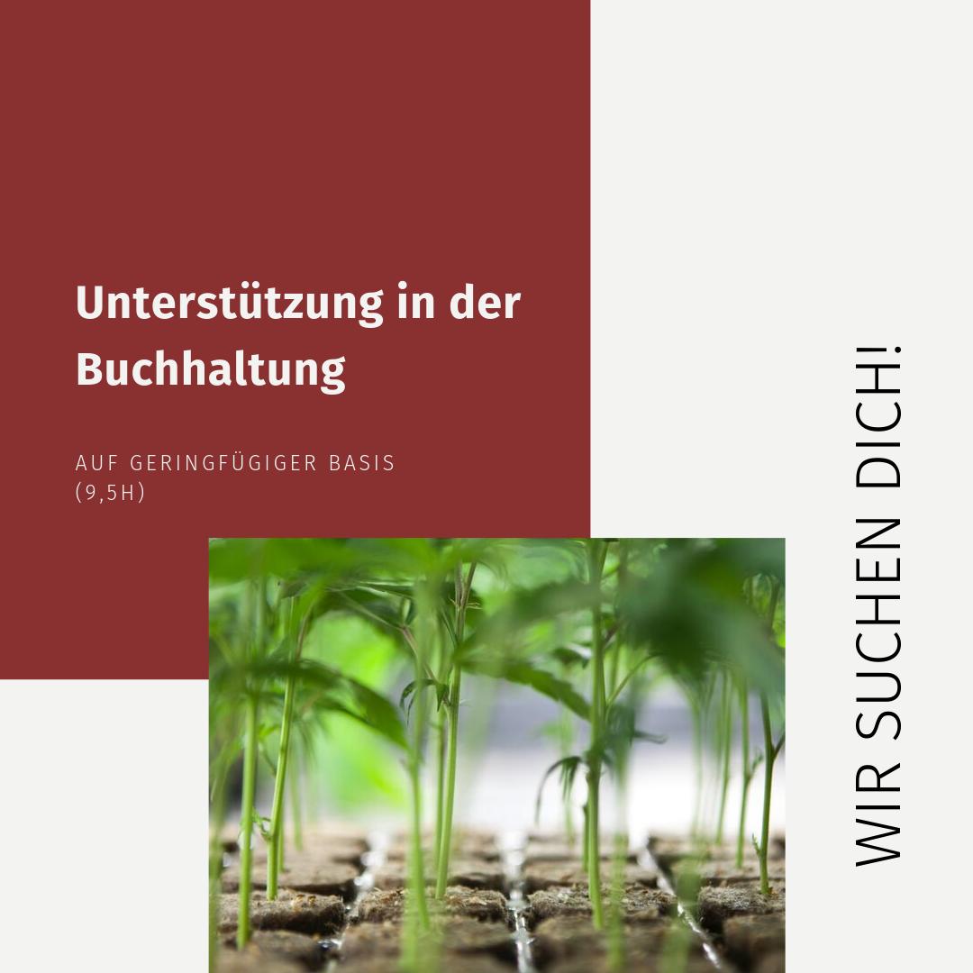 👉 Zahlenaffine, strukturierte Unterstützung in der Buchhaltung gesucht: bit.ly/MAGU-Buchhaltu… 🥰
