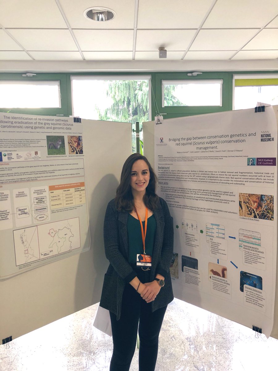 rebecca_synnott's tweet photo. Come check out my posters on looking at 1.) re-invasion pathways of grey squirrels using genetic and genomic data and 2.) Using conservation genetics for red squirrel conservation management @eMammal #ecm8 #squirrels https://t.co/iMwHLp9Te2