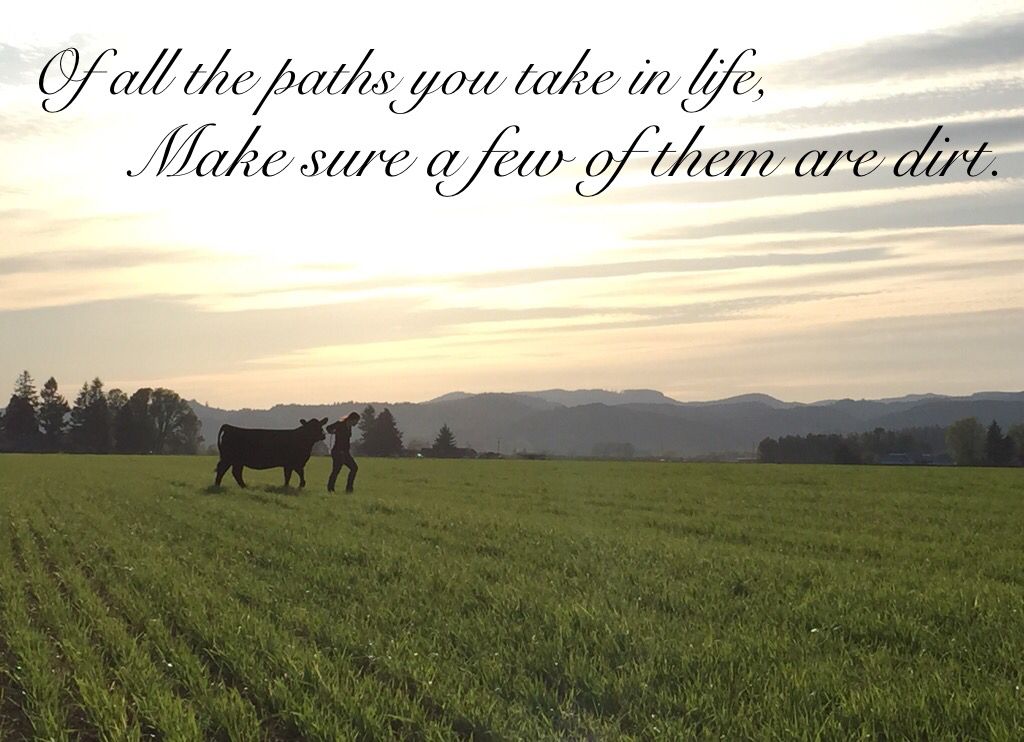 zimagricsociety's tweet photo. Of all the paths you take in life, make sure a few of them are dirt. #WednesdayWisdom #WednesdayThoughts #wednesdaymorning #FarmingNextGen #farming #agriculture #livestock #SDGs #SDGLive https://t.co/mSoAtYZujp
