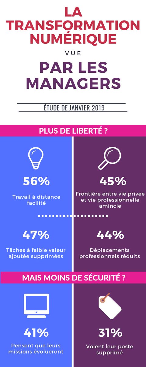 Moderato tweet media