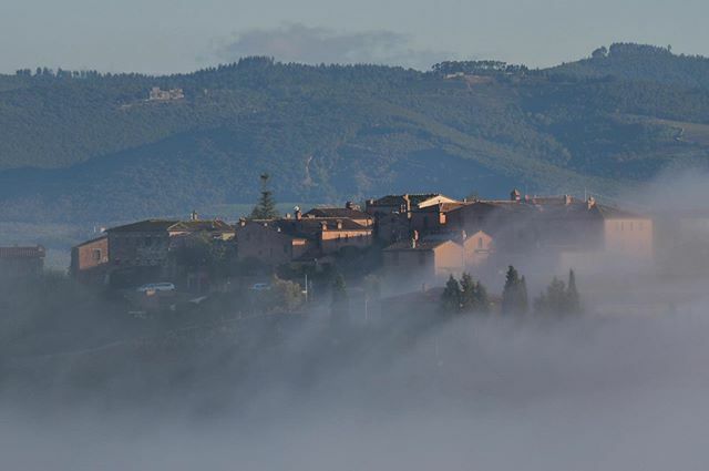 LeCreteSenesi's tweet photo. Mucigliani avvolto dalla nebbia ieri mattina. 
#mucigliani #cretesenesi https://t.co/bCVB7YTjE9 https://t.co/C8587ix66Q