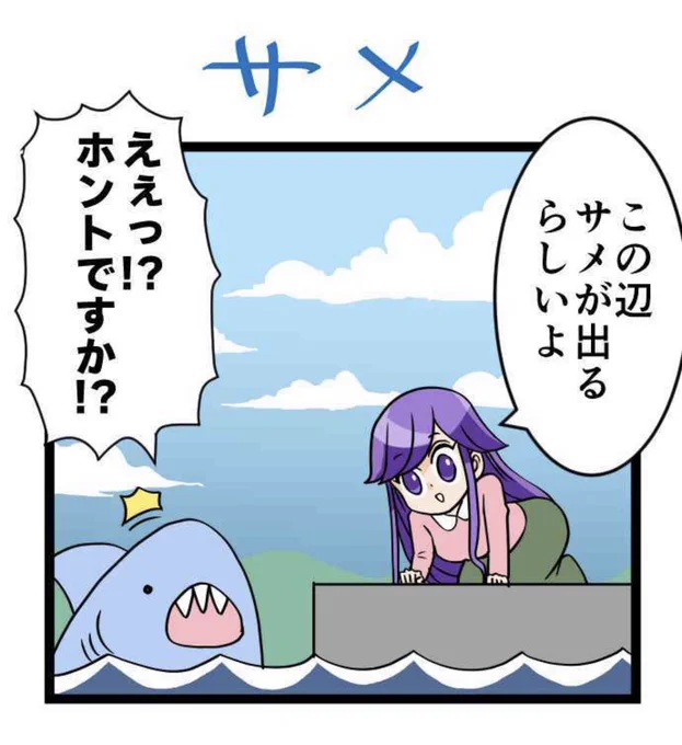 サメ 