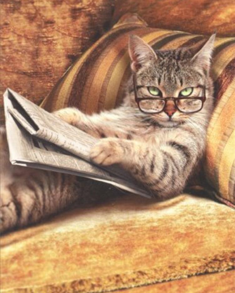 LoveSolihull's tweet image. DID YOU KNOW 💡

...It takes seven days for a #recycled newspaper to come back as newspaper again? 

You could be reading your favourite newspaper on #recycled paper in no time at all 😃  

#RecycleWeek2019 #RecycleWeek #environment #WednesdayThoughts