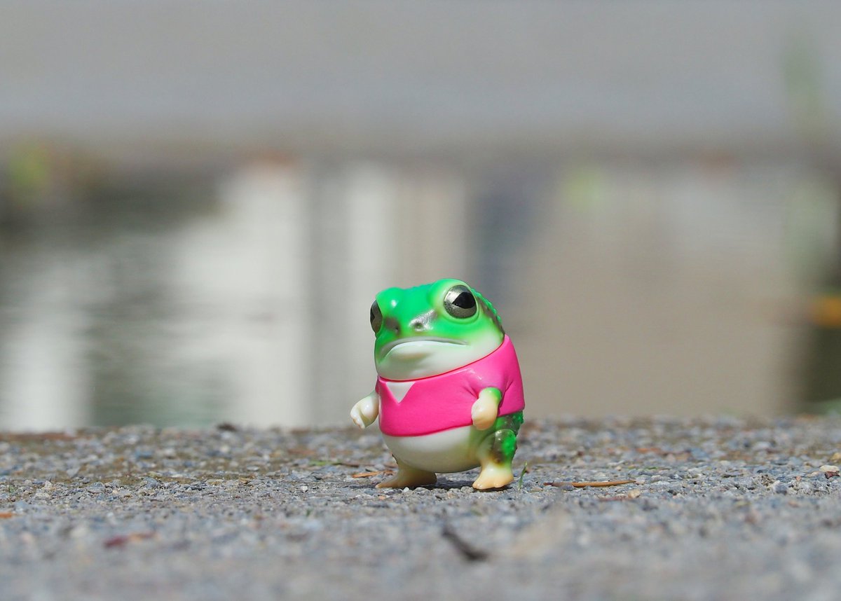 ナマカフクラガエル