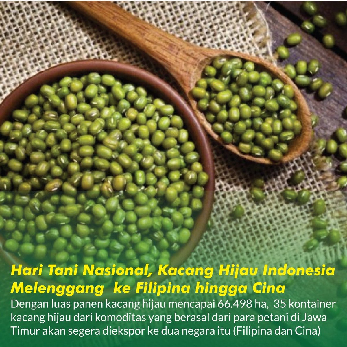 Suka makan bubur kacang ijo? Produk pertanian kita ini ternyata diekspor dan digemari di Filipina lho #PetaniMakinSejahtera