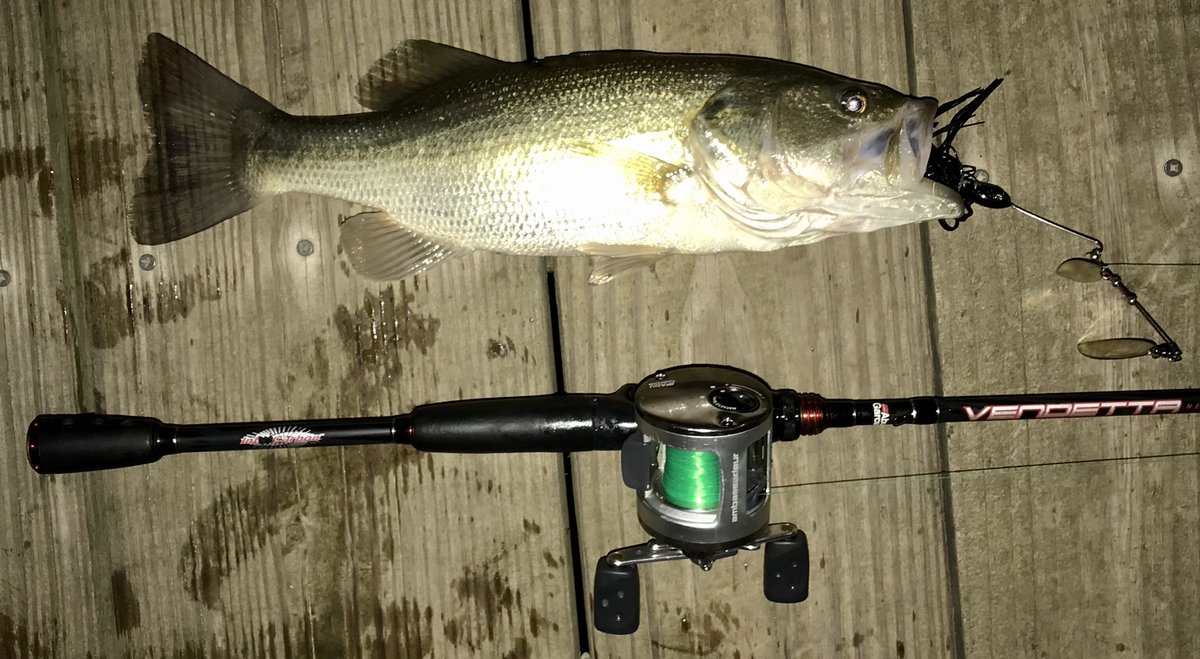 Phil_Traverse's tweet photo. No shut out for me! Yea buddy!#abugarciaforlife #fishinglife #nightfishing https://t.co/T3Ko2LAGv2