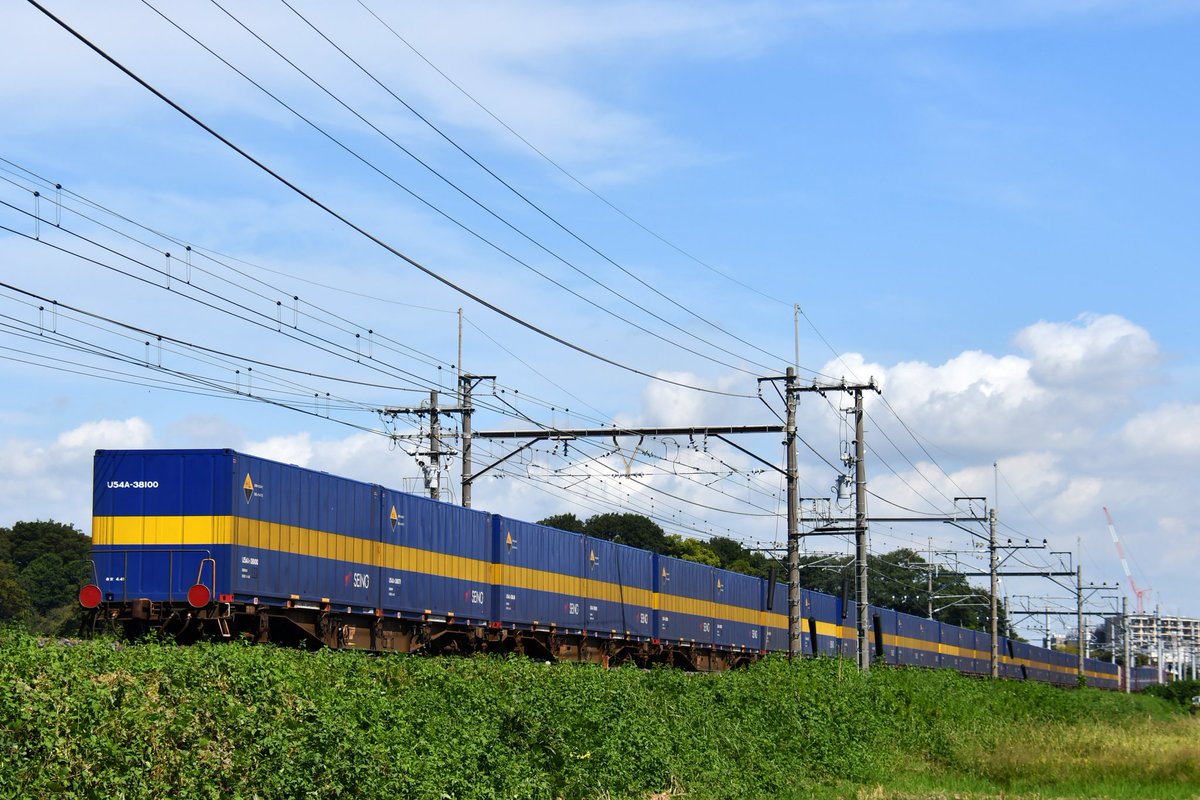 エレガブ　コロシヤンV 1期　2pt付き エレガブ コロシヤンV 1期 2pt付き Amazon.co.jp: エレガブ ドクロ太郎