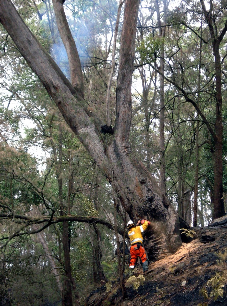 AWUnion's tweet photo. This is the reality of what firefighters are experiencing on the front lines. It's these brave men and women who protect us from disaster.

These photos were taken in regional NSW of proud AWU members.

We are proud of the work AWU members every day. https://t.co/AsrqQB1ETE