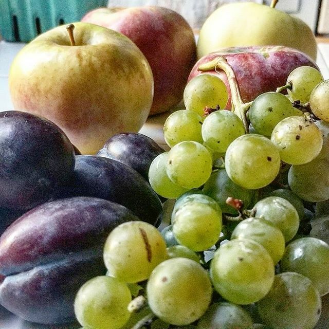 HellgateCSA's tweet photo. #HellGateCSA in #Astoria ! This is actually a HALF of a weekly #FruitShare:

Cayuga Grapes 🙏 Paula red Apples 🙏 Ginger gold appmes 🙏 Prune Plums

Tag #HellGateCSA, we like seeing your CSA #photography!

#fruit 
#localfood
#eatlocal
#localcsa
#localfa… https://t.co/4BMJcoWpa7 https://t.co/Z5apLJmY2W