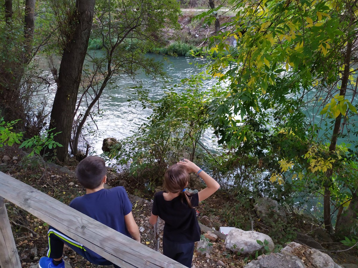 rubilibrarian's tweet photo. Agua verde verde verde/ agua encantada del Júcar. 
Gerardo Diego.
@IShotLove  #IShotLoveWorld #IShotLoveFamily
#IShotLove #ShotLover https://t.co/wmum70oFVr