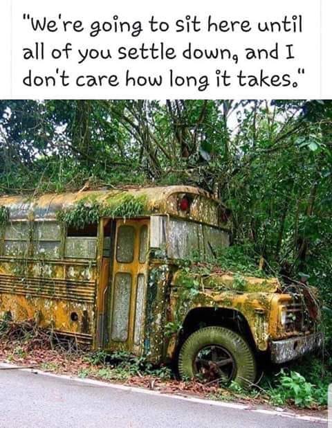 MaximusCampers's tweet photo. #sithere #settledown
#notmyimage https://t.co/CCVjX8d6Fp