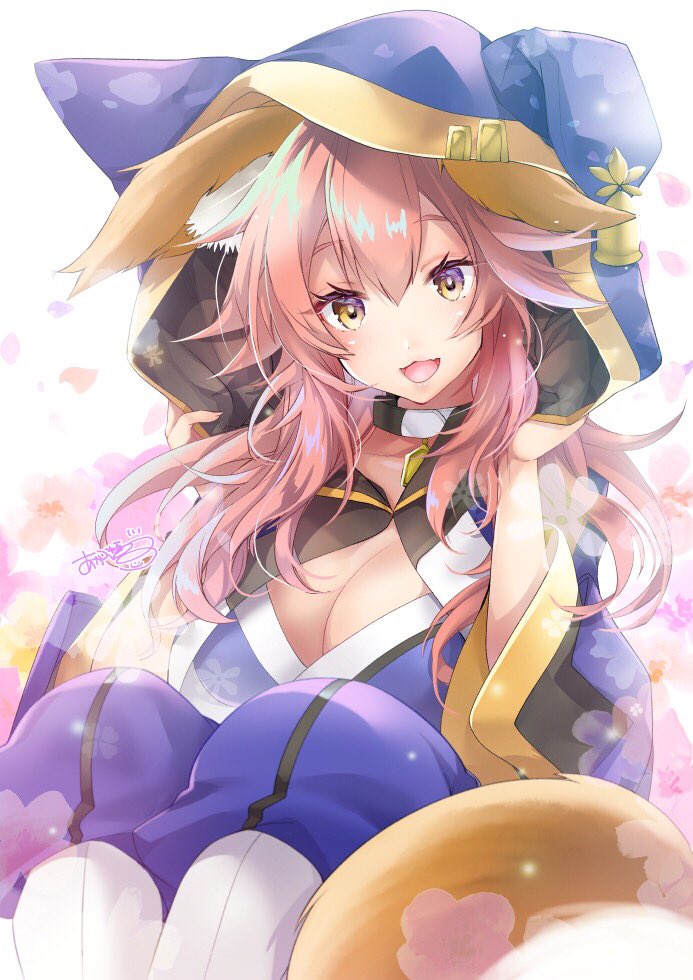 Fgo 忠犬待ったなし 衣装の玉藻の前がみこーんカワイイ Fateツイッター情報まとめ Fgo 忠犬待ったなし 衣装の玉藻の前がみこーんカワイイ Fateツイッター情報まとめ