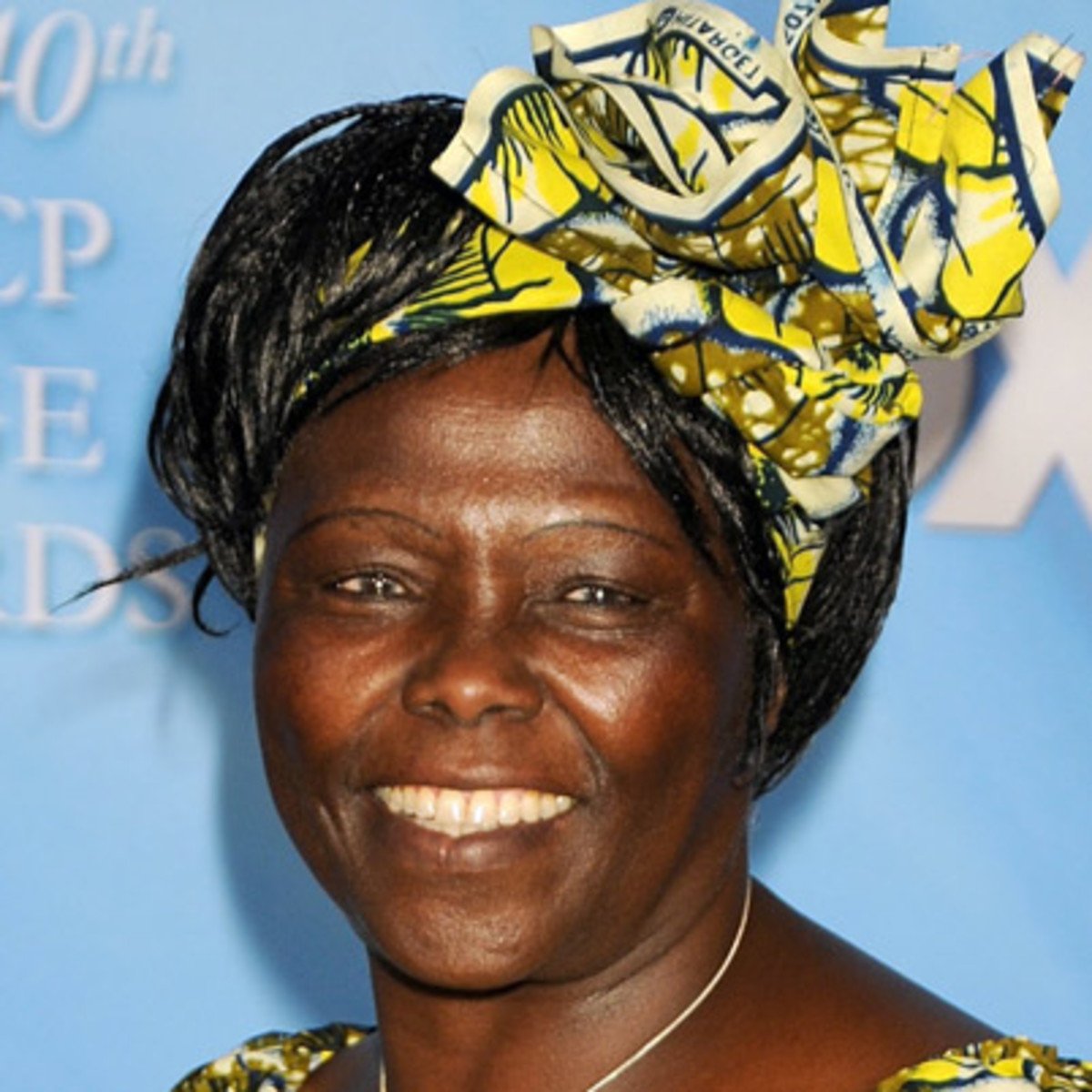 Kenyan activist and the first African woman to win the #NobelPeacePrize, #WangariMaathai died from #cancer #onthisday in 2011.

#otd #environmentalist #Africa #GreenBeltMovement #NobelPrize #RightLivelihoodAward #IndiraGandhiPeacePrize #goodwillambassador #WangarĩMutaMaathai