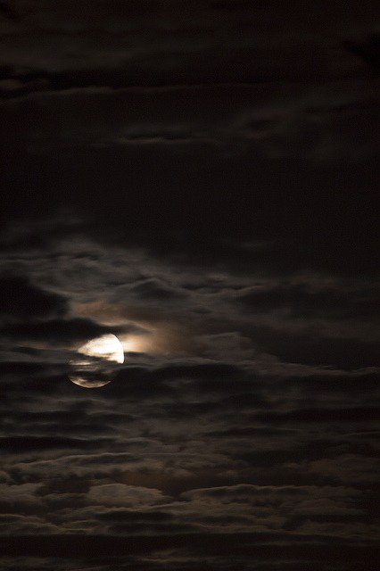 "She feeds me moist words swimming in my hand as I catch a tear running down the sand stammering she speaks oblivious of delight; I'll empty the seas and swallow the night"~Ocean