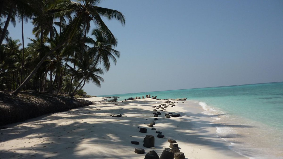 TourMyIndiaa's tweet photo. Blue sea, unspoiled beaches, exotic islands, explore the alluring LAKSHWADEEP ISLAND 😃
#tourmyindia #southindia #southindiatourism
*
#WednesdayThoughts #WednesdayWisdom #WednesdayMotivation #wanderwednesday #travel #travelindia  #explore #india #travelling https://t.co/u6mSCHjeDd