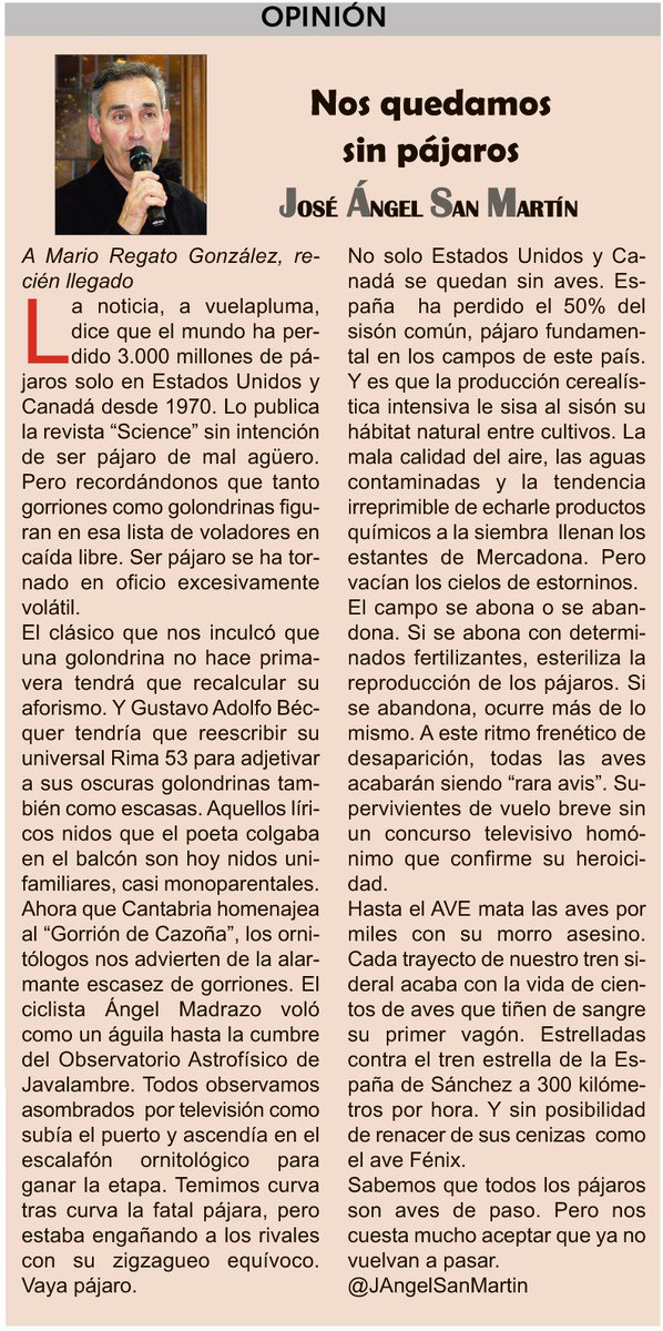 tweet media