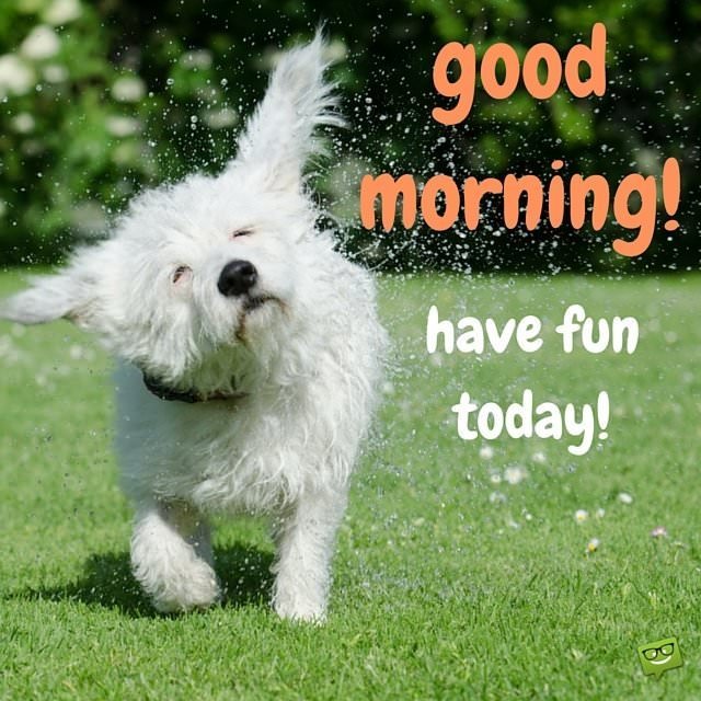 Good Morning Everyone...
Have a great day!!🐱
#goodmorning #Goodmorningwishes #morningmotivation