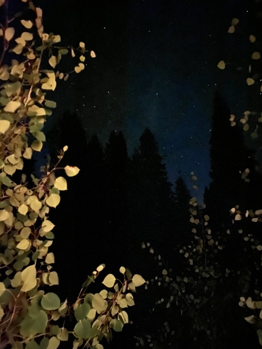 Ok iPhone 11...I’m impressed