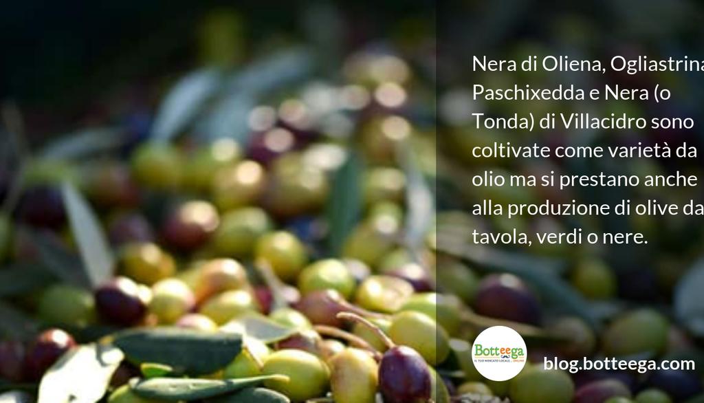 "...Olive sarde: tutte le varietà...", tratto dal post: blog.botteega.com/olive-sarde #prodottisardi