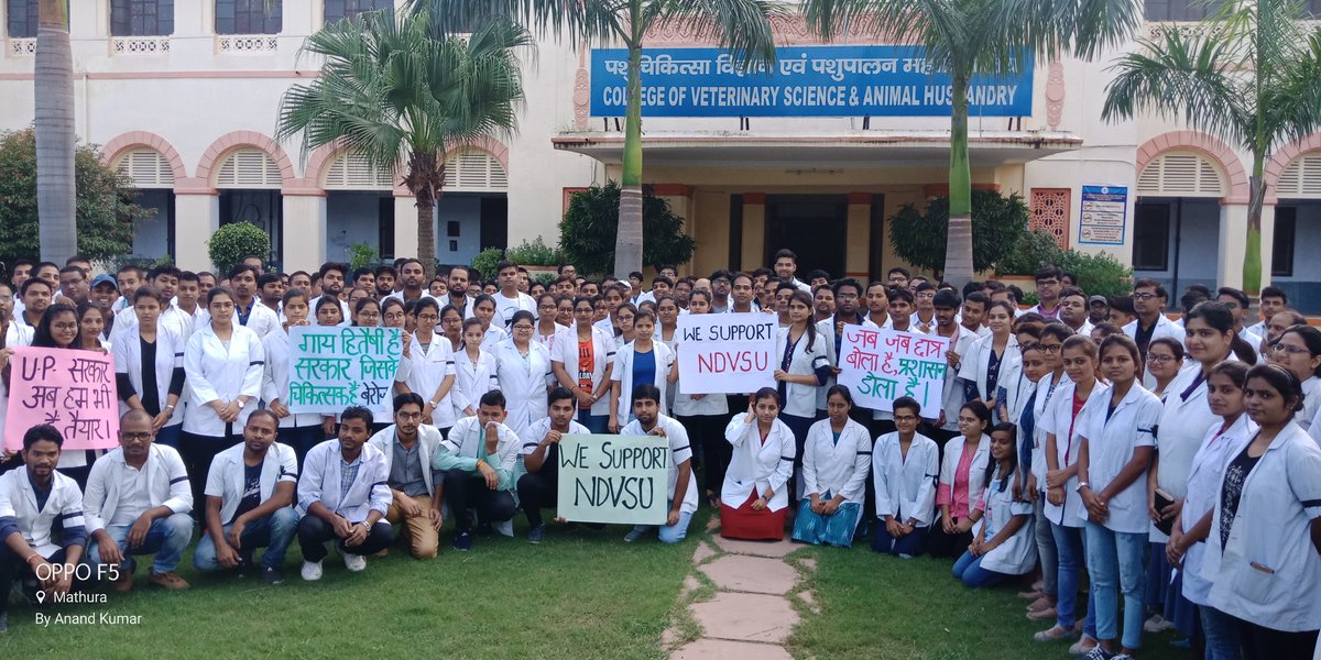 since 7 years there was no vacancy for veterinary doctors, without  proper nunmber of vet docs we cant expect proper animal health and welfare and thus income of farmers.