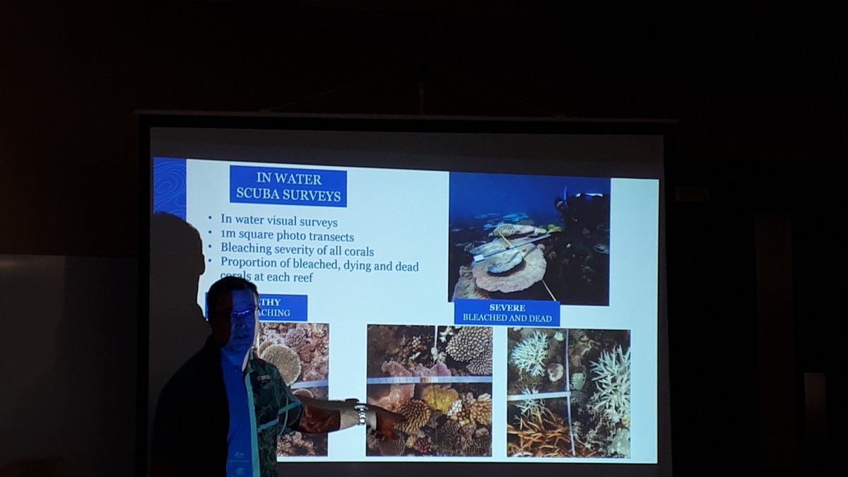 <a href="/gbr_neal/">Neal Cantin</a> in Cooktown: how to quantify bleaching across reefs
<a href="/aims_gov_au/">Australian Institute of Marine Science</a>