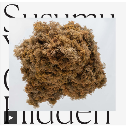 sublimerecords's tweet photo. SUSUMU YOKOTA -Cloud Hidden (Lo Recordings Uk)未発表音源からアナログ / CD / 配信 予約スタート
#bandcamp▶︎ https://t.co/R8c61mvSJn
#Tank▶︎ https://t.co/Yhv4D8y5qN
#SusumuYokota #TankMagazine #LoRecordings https://t.co/TxJeBbTX3f