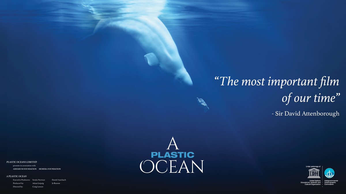 APlasticOceanFoundation tweet media