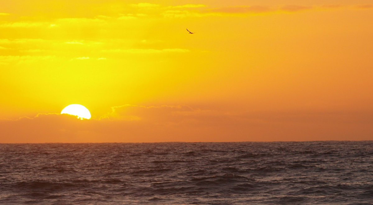 propertyguyjbay's tweet photo. After the Equinox, Summer brings a new level of #sunrise  to the #JBay early dawn fireball. #livingthedream #beachlife   
#jeffreysbay #surf #wsl #surfing #surfer #properties #realestate #property #realtor #forsale #investment #househunting #newhome #home #realty #SussexMeetSA https://t.co/6syOqg3kV9